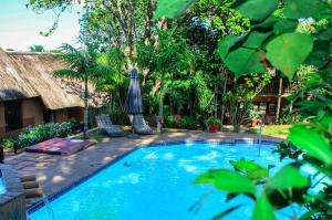 amazulu lodge