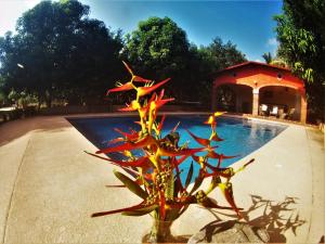 Quinta Comala,Comala>>Colima,2.5 star