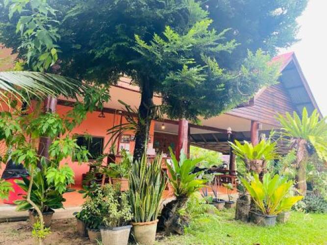 nadia resort kohjum