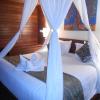 dmuncuk huts lembongan
