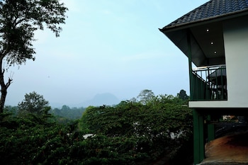 wayanad cave n pillar resort