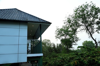 wayanad cave n pillar resort