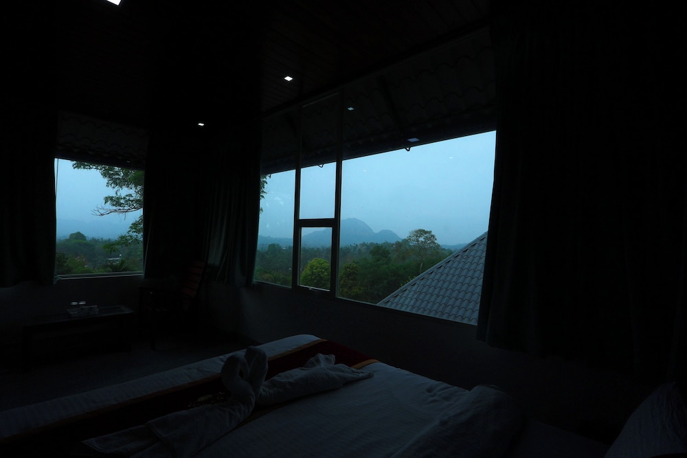 wayanad cave n pillar resort