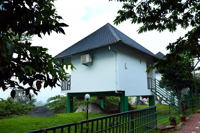 wayanad cave n pillar resort