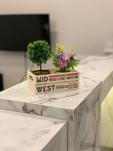 9ty hotel ninety hotel