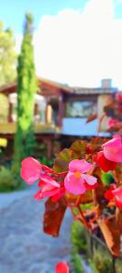 la martina campestre