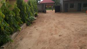 kalalo cottage inn