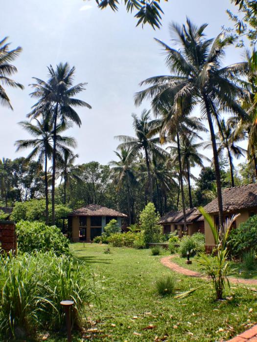 the orchard resort