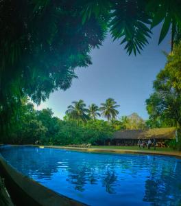 the orchard resort