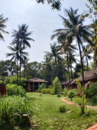 the orchard resort