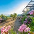 residence pandv premium les terrasses darsella