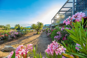 residence pandv premium les terrasses darsella