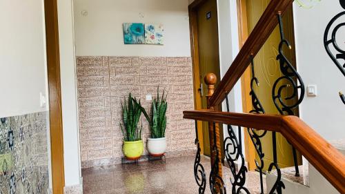 rudram hotel yoga and ayurveda retreat