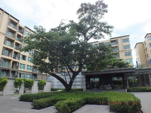 rain cha am hua hin by ampere