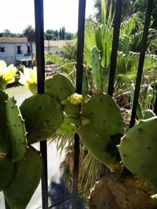 villeneuve les beziers