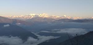 vamoose ashis homestay