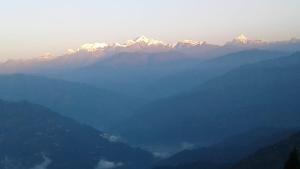 vamoose ashis homestay