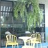 yam yen hostel