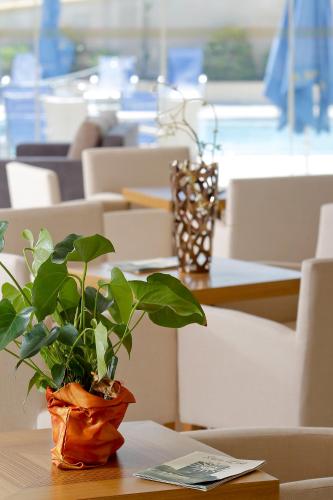 aegean dream hotel