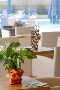 aegean dream hotel