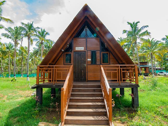 tycoon resort