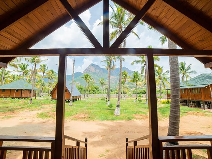 tycoon resort