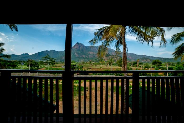 tycoon resort