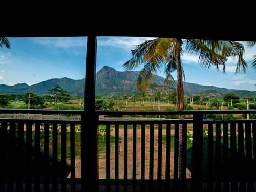 tycoon resort