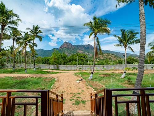 tycoon resort