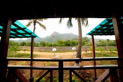 tycoon resort