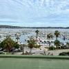 bandol