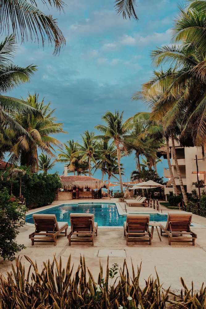 petit lafitte hotel