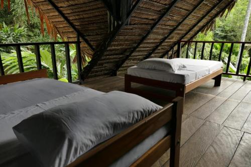 maloka napu