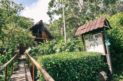 maloka napu