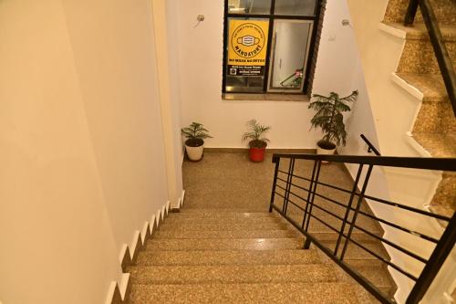 hotel alig inn