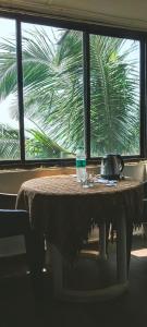 red rock arambol beach