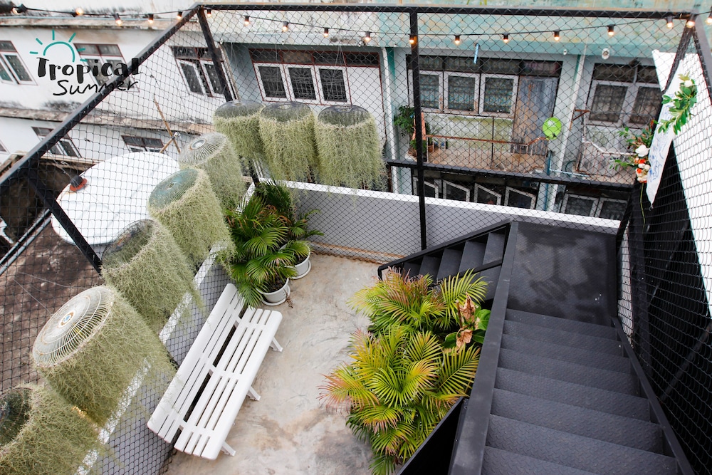 tropical summer cafe and hostel