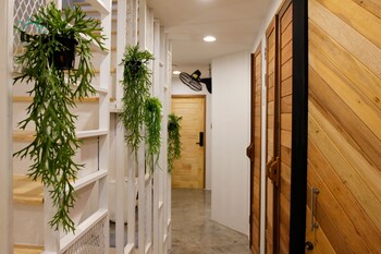 tropical summer cafe and hostel