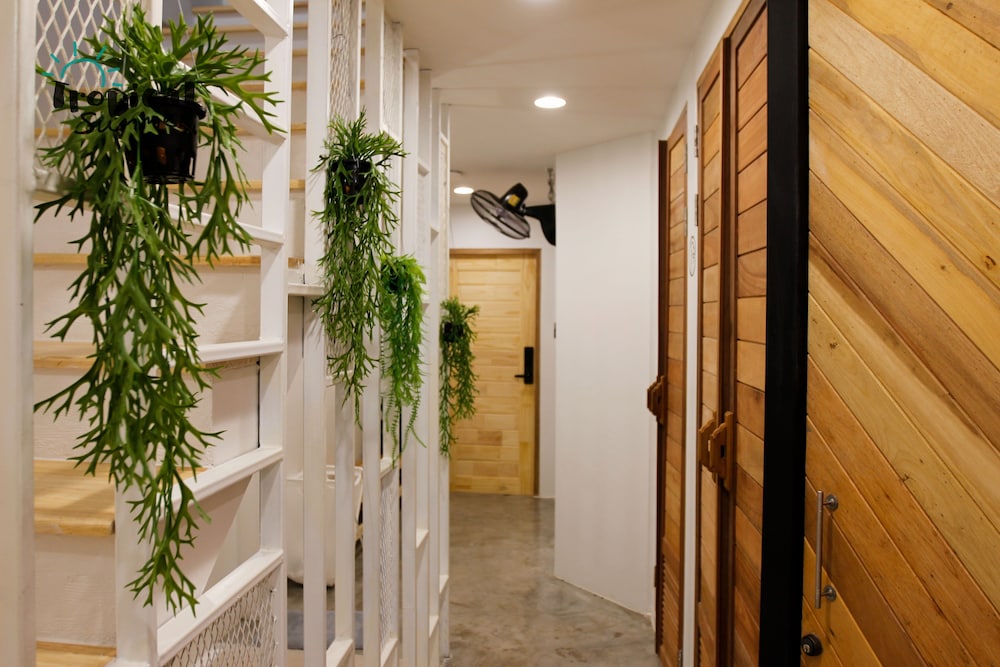 tropical summer cafe and hostel