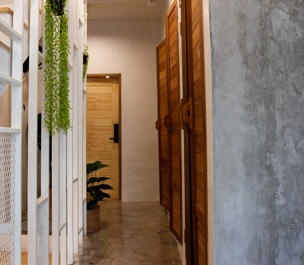 tropical summer cafe and hostel