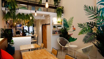 tropical summer cafe and hostel