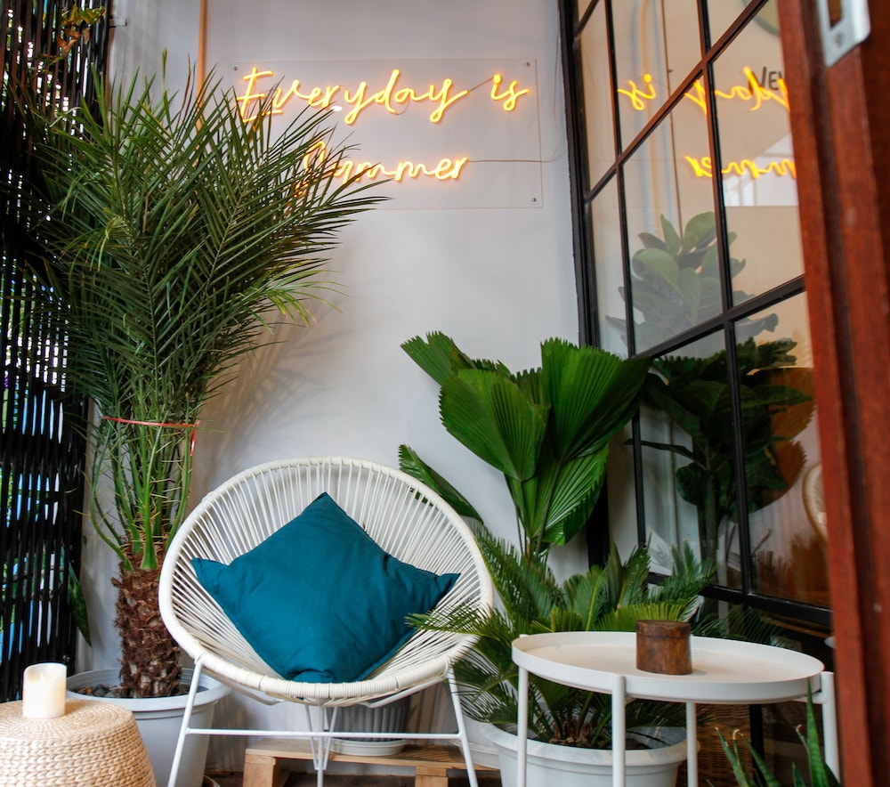 tropical summer cafe and hostel