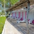 hotel los flamingos