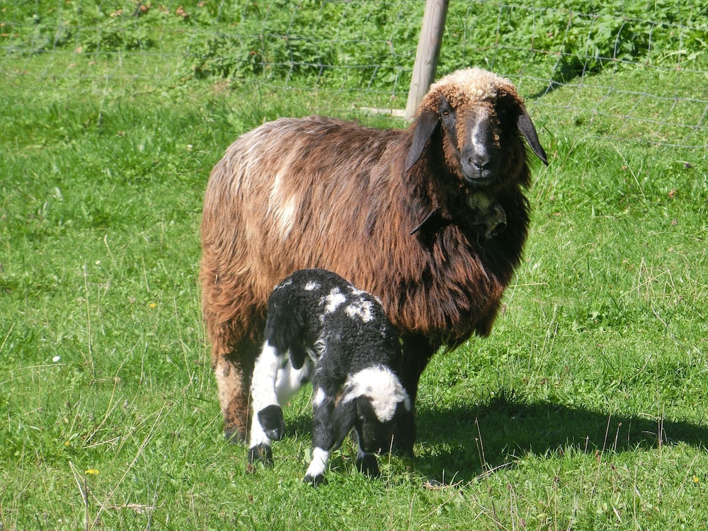 eurasburg