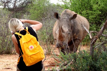 waterberg wilderness