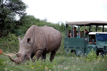waterberg wilderness