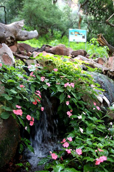 waterberg wilderness