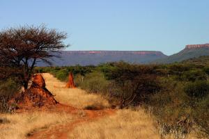 waterberg wilderness