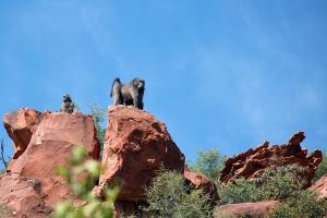 waterberg wilderness