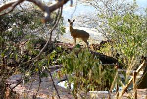 waterberg wilderness